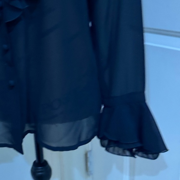 Louis Feraud stunning Black Sheer Ruffled Blouse size 6 - Picture 3 of 13